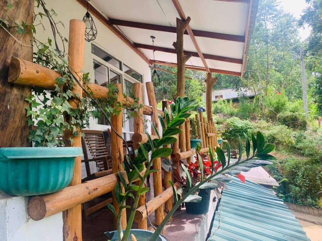Ella Forest Eco View ภายนอก รูปภาพ