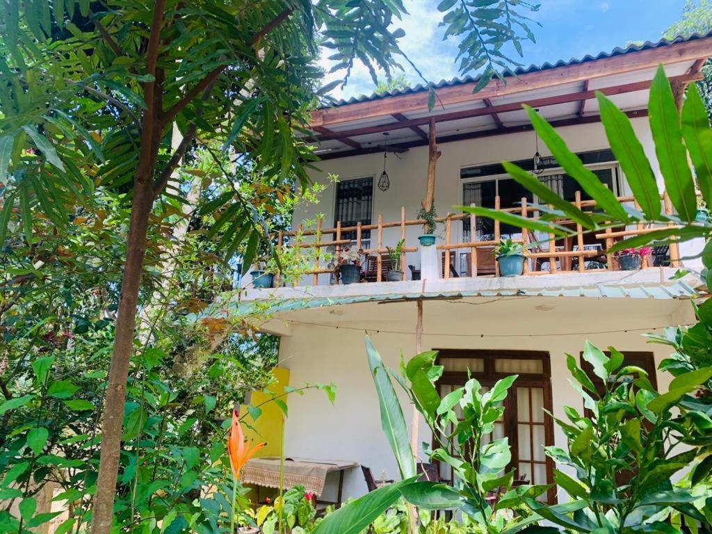 Ella Forest Eco View ภายนอก รูปภาพ