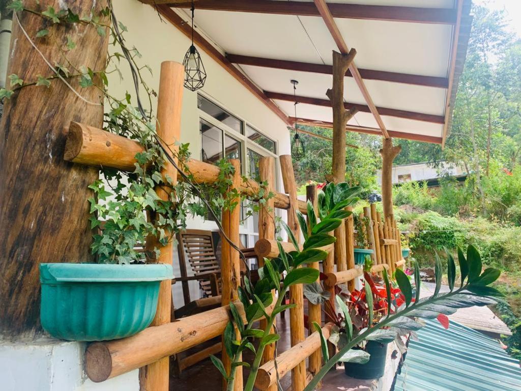 Ella Forest Eco View ภายนอก รูปภาพ